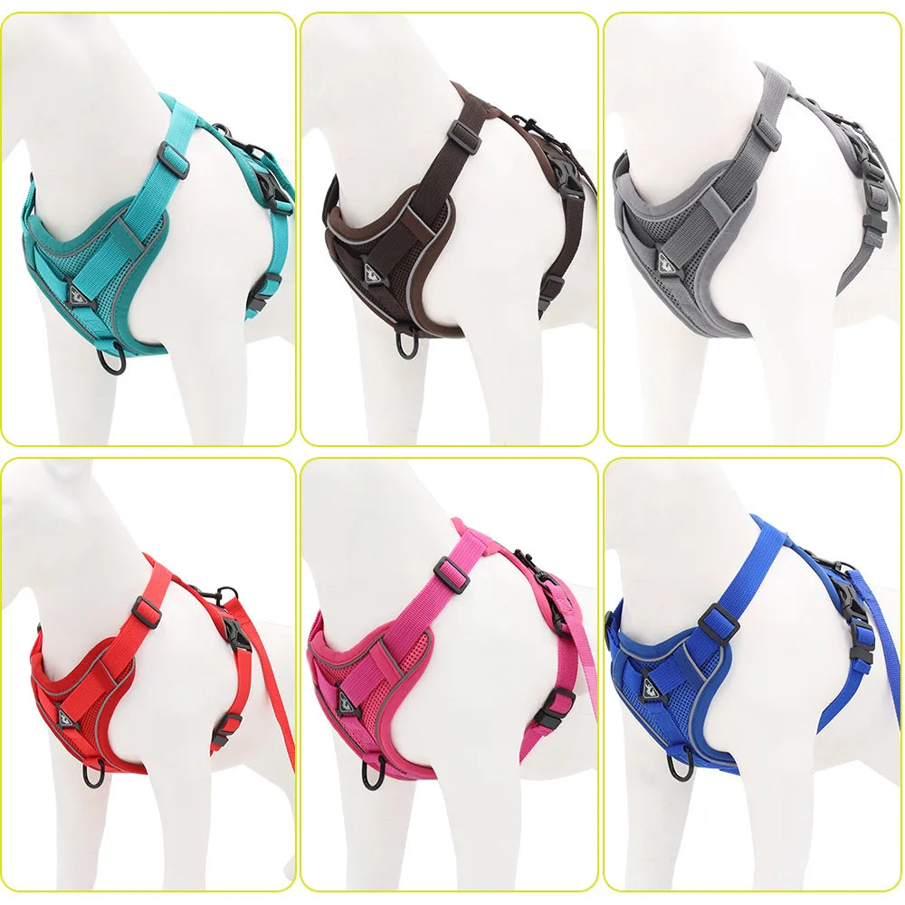 Padded Breakaway Vest Harness Set