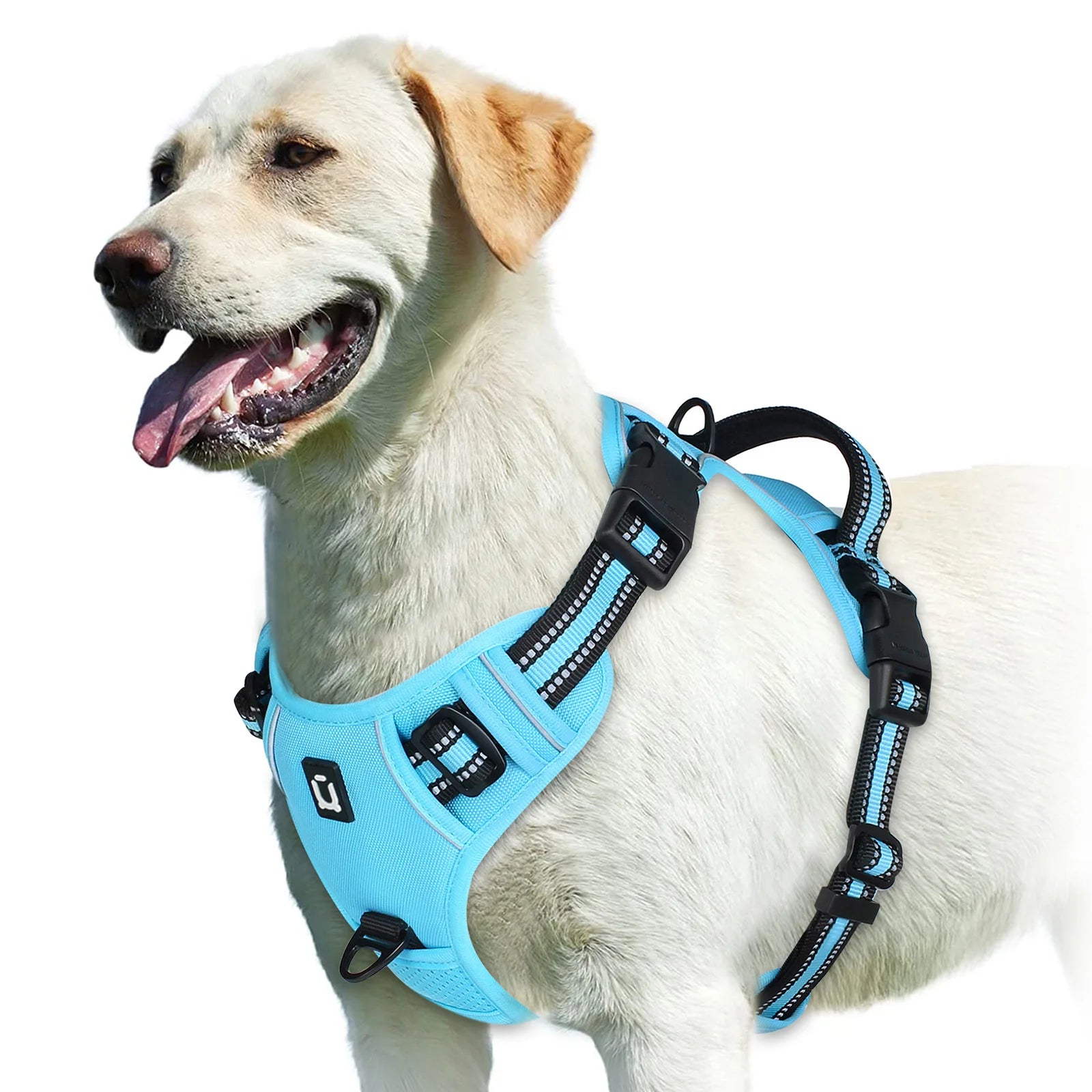 Easy Control Handle No-Pull Vest