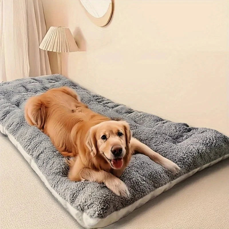 Thickened Super Soft Plush Sofa Bed