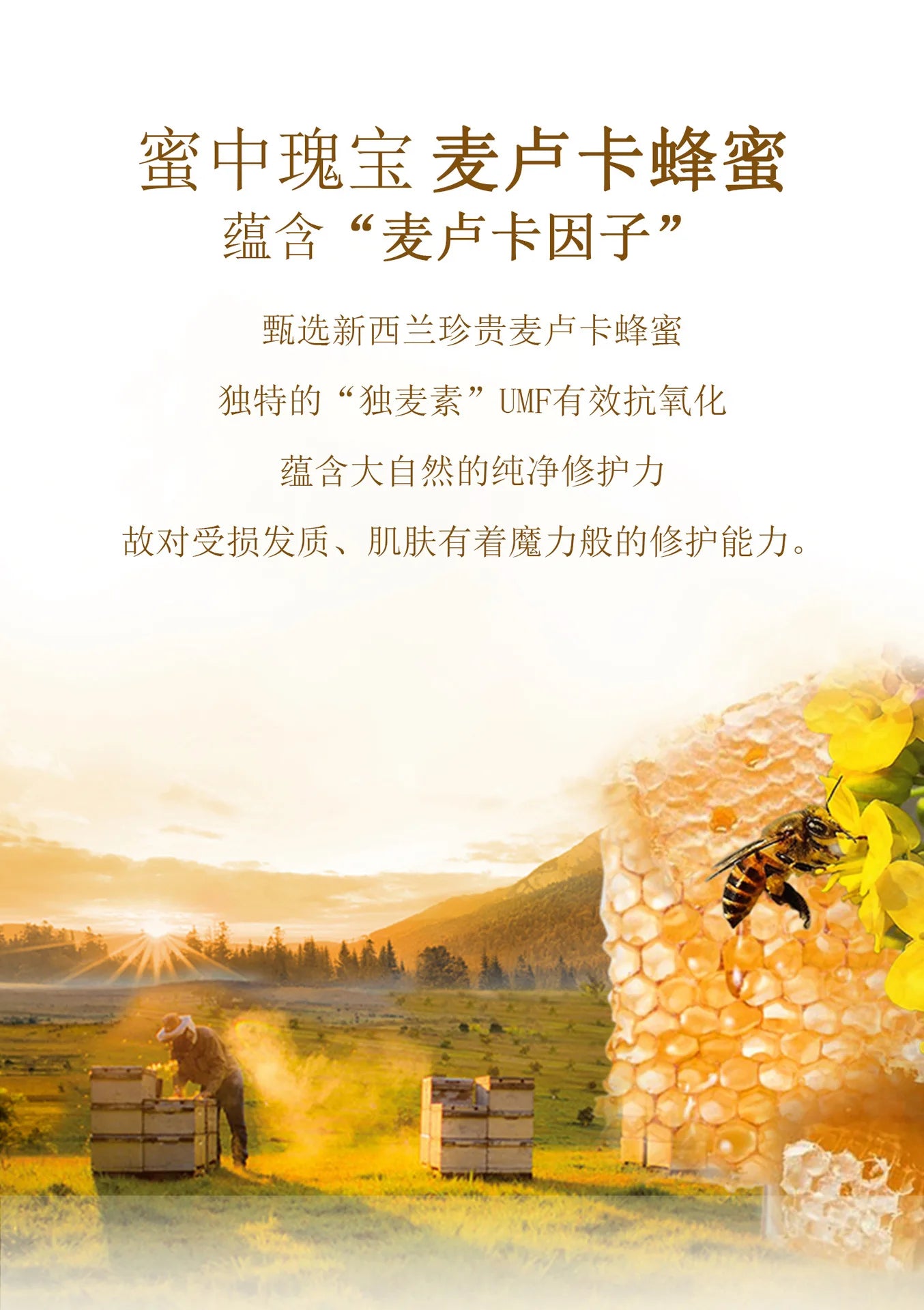 Honey Nourish Hair Shampoo Conditioner