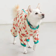 Waterproof Hooded Pet Rain Jacket