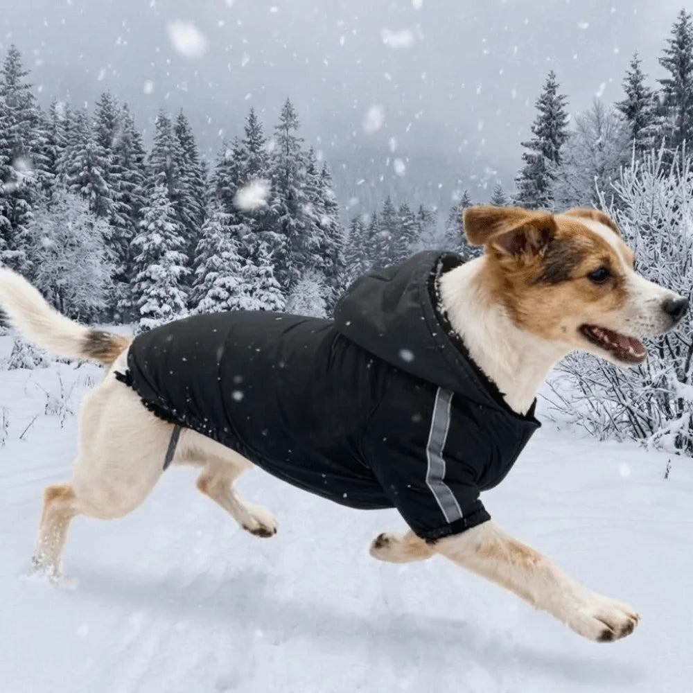Reflective Waterproof Winter Pet Sweatshirt