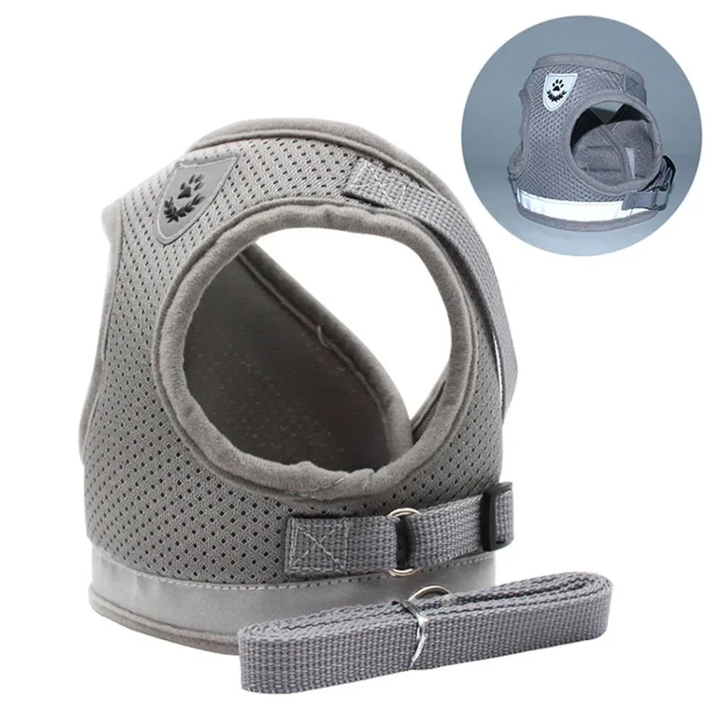 Escape-Proof Mesh Cat Harness Set