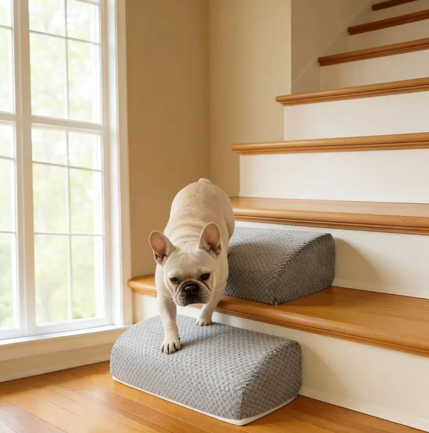 High-Density Foam Pet Safety Steps