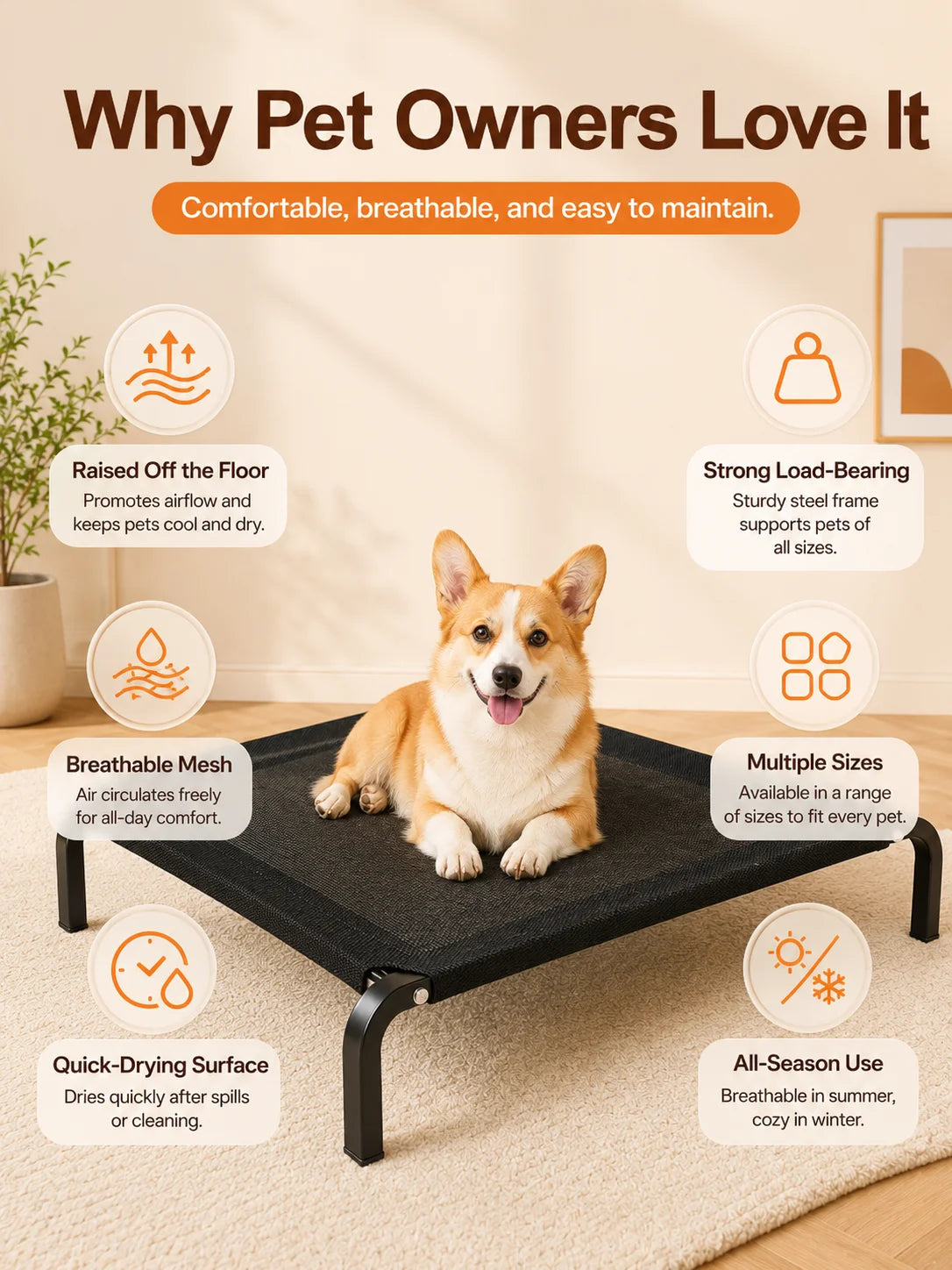 Elevated Pet Bed for Dogs, Washable Dog Bed for Small, Medium, Large & XL Puppies, Breathable Mesh Dog Bed