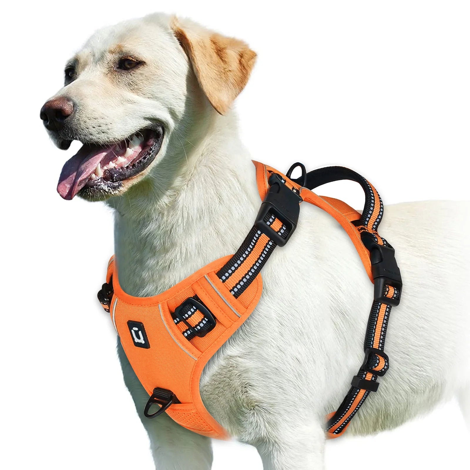 Easy Control Handle No-Pull Vest