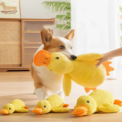 Cuddly Yellow Duck Squeak Toy