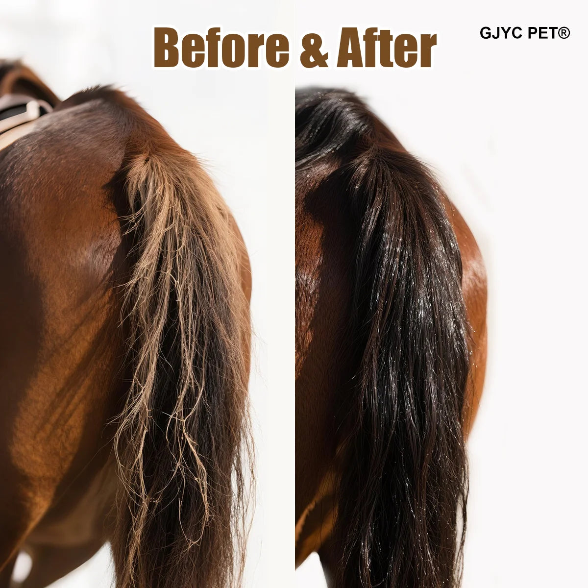 Horse Hair Care Oil 100ml - Mane Shine Essential Oil with Plant Ingredients Nourishing Coat Treatment Easy Carry for All Breeds