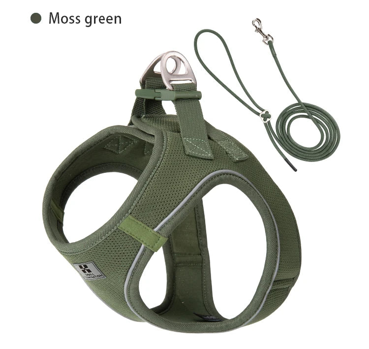 Reflective Outdoor Walking Harness Set