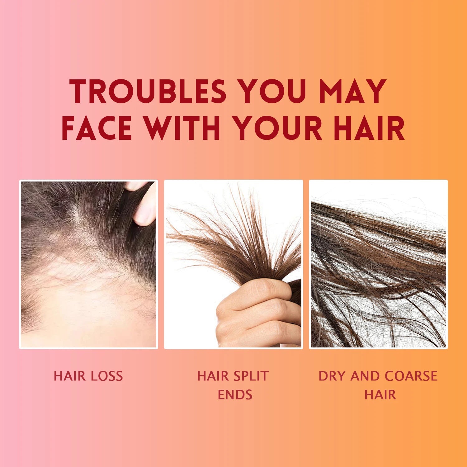 Revive Haircare Essentials Kit