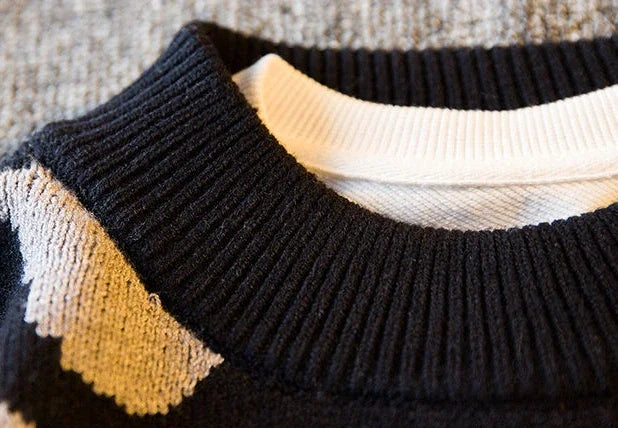 Graphic Knit Crew Pullover Sweater