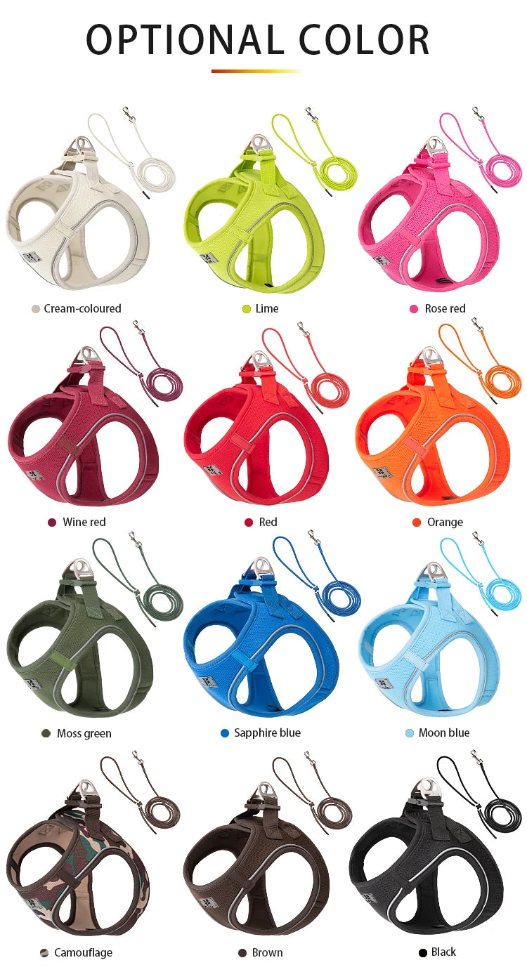 Reflective Outdoor Walking Harness Set