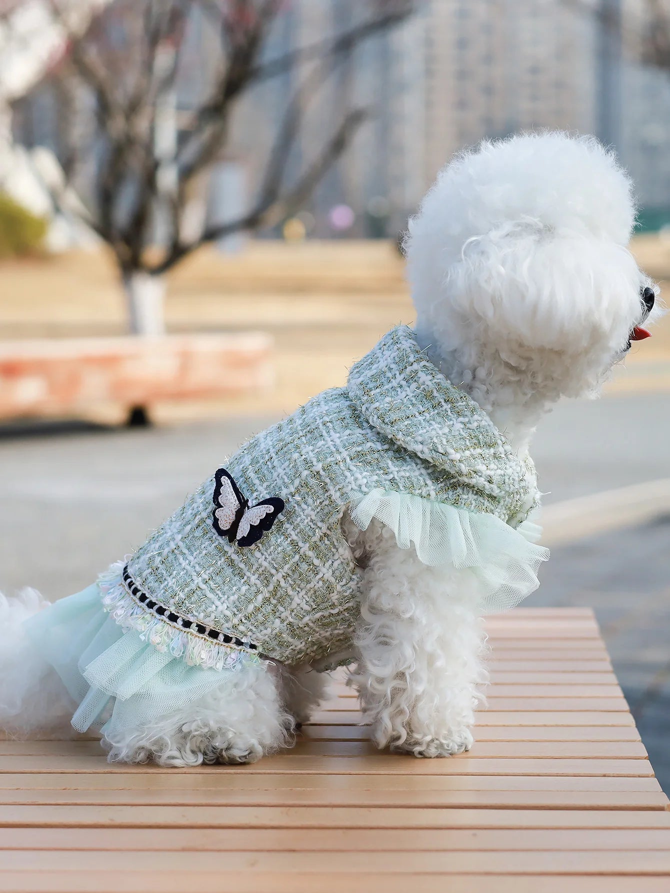 Dog clothes Princess Dress & Jacket For Pets, Suitable For Poodle, Maltese, Yorkshire Terrier In Spring And Autumn