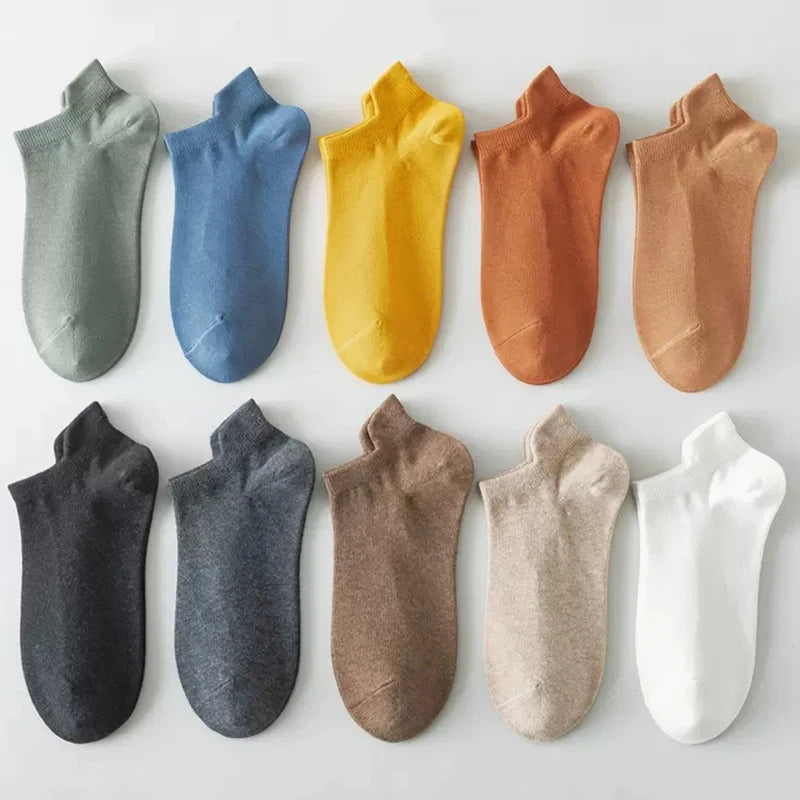 TITLE: Elegant Everyday Mid Calf Socks