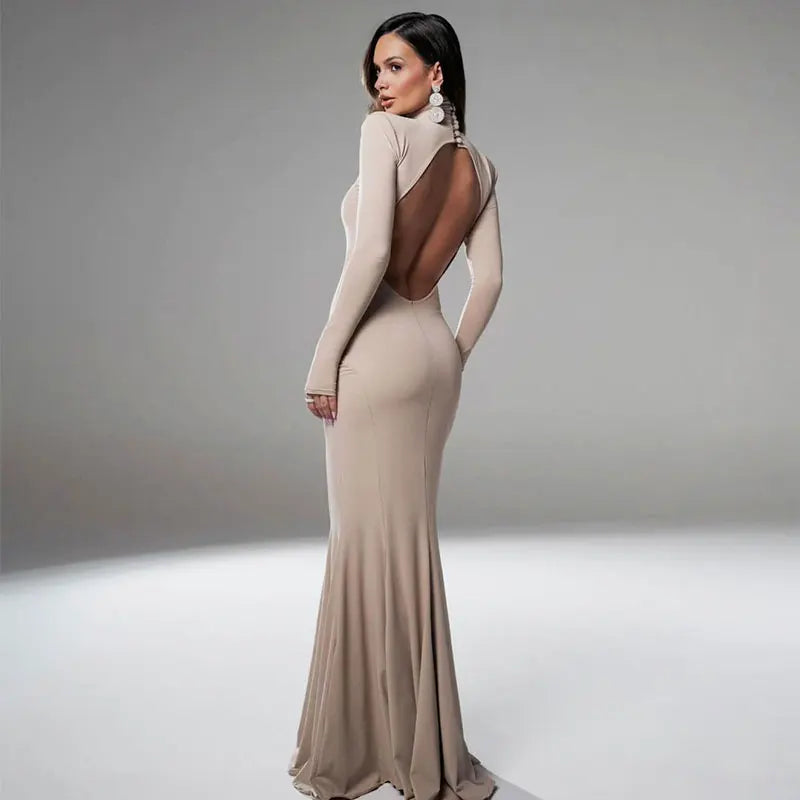 Backless Turtleneck Slim Maxi Dress