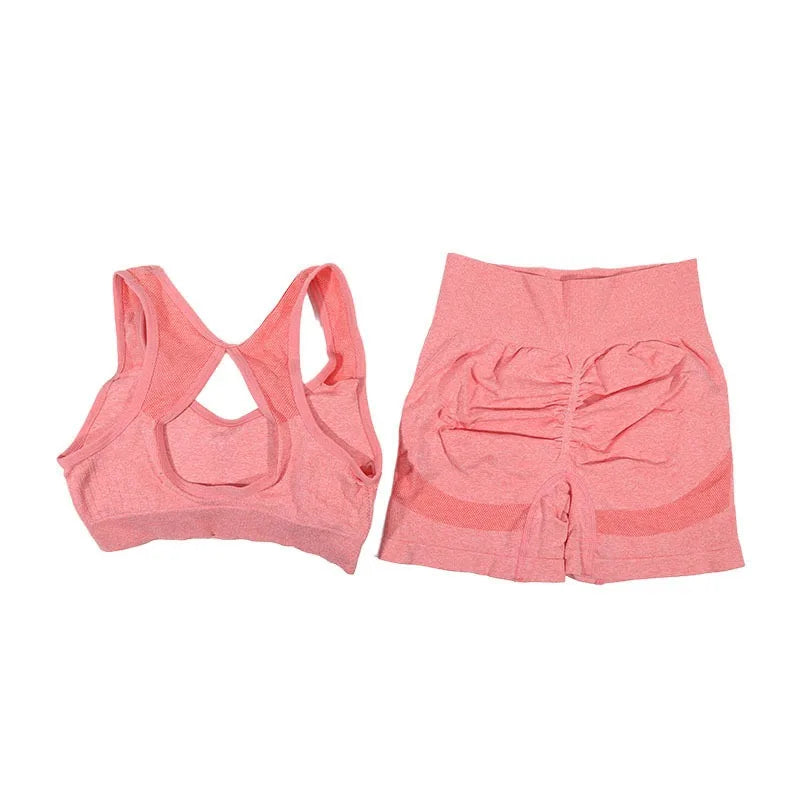 2Pcs Women Yoga Outfit Set Sports Fitness Vest Running Workout Shorts Suit Gym Training Active Wear Handmade Accessory