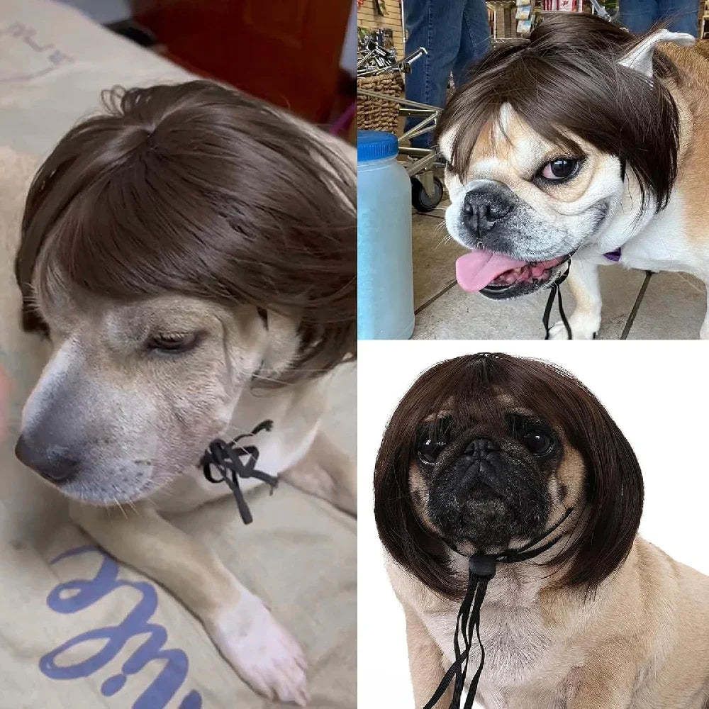 Pet Wigs Cosplay Props Dog Cat Cross-Dressing Hair Set Photography Funny Props Head Accessories Prank Pet Supplies Costumes DIY