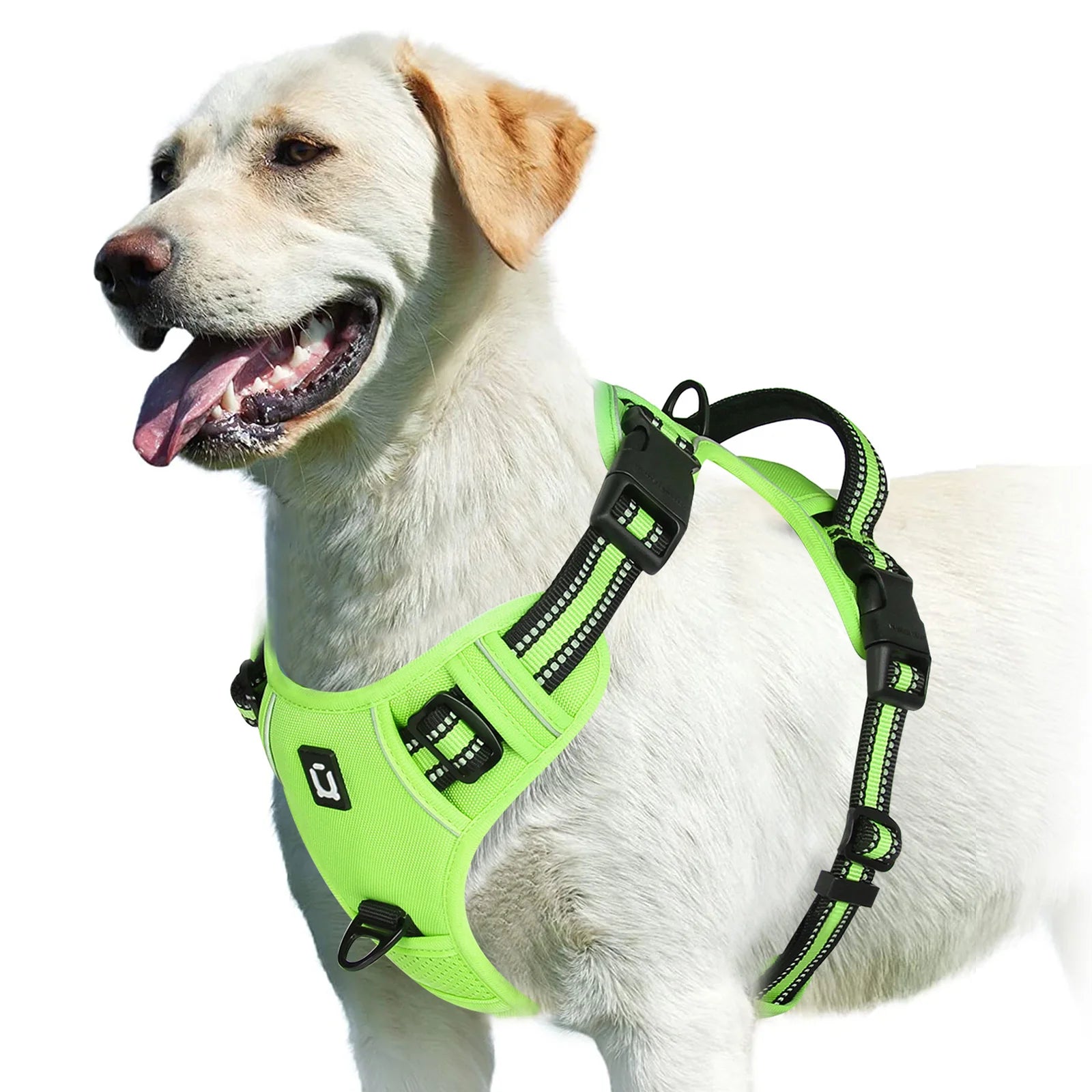 Easy Control Handle No-Pull Vest