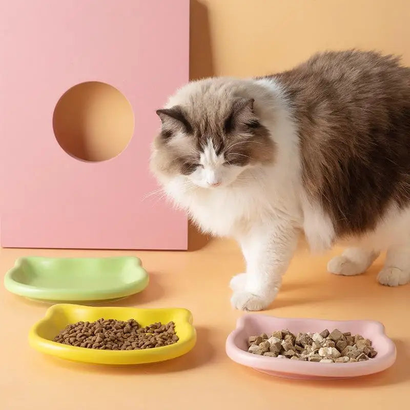 Pastel Cat Head Feeding Dish
