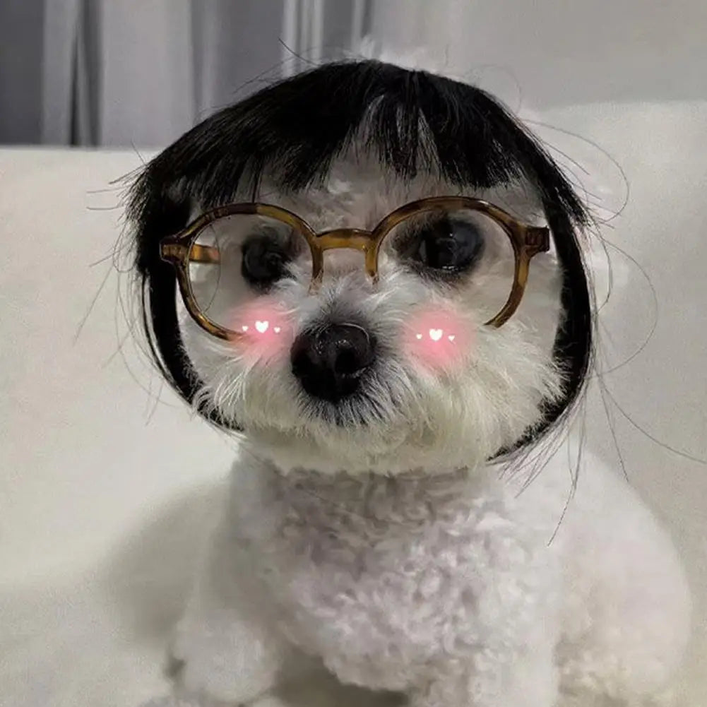 Cat Wig Accessories Dog Headdress Funny Costume Puppy Cosplay Dress Up Cute Pet Wig Cosplay Funny Props Puppy Costumes Supplies