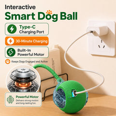 Smart Automatic Rolling Dog Ball