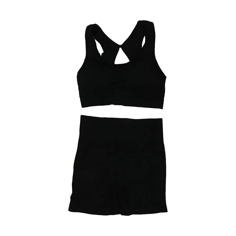 2Pcs Women Yoga Outfit Set Sports Fitness Vest Running Workout Shorts Suit Gym Training Active Wear Handmade Accessory