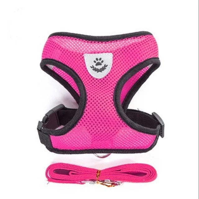 Breathable Mesh Vest Lead Leash