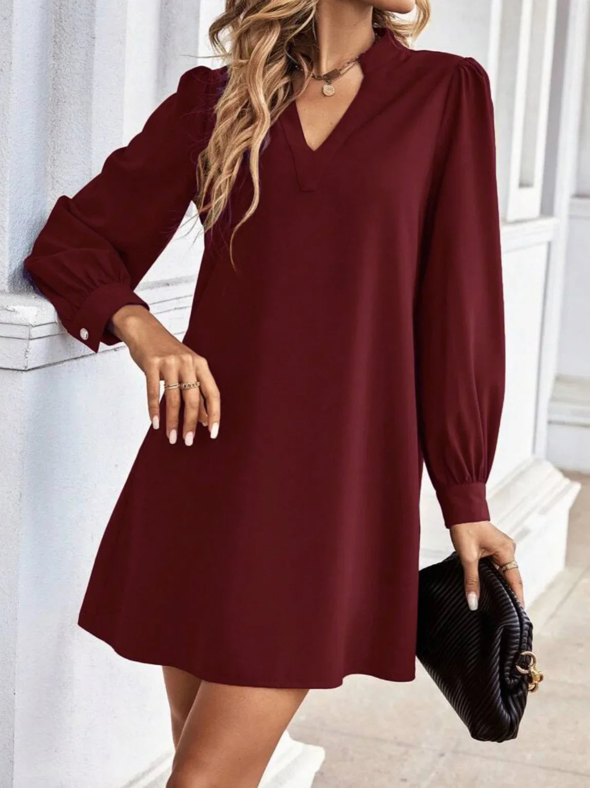 V-Neck Long Sleeve Mini Dress