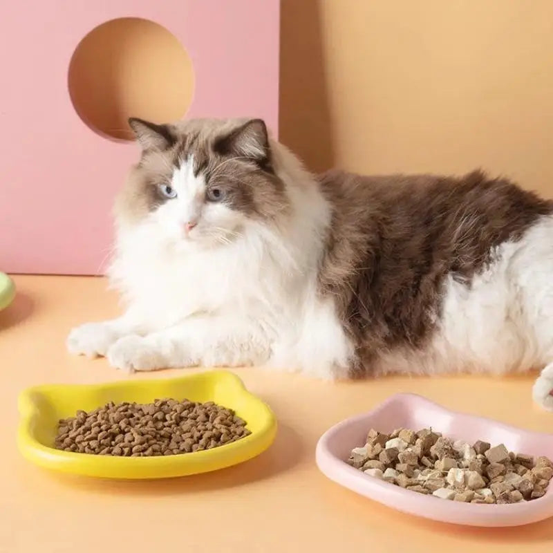 Pastel Cat Head Feeding Dish