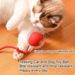 Durable Pet Toys for Dogs And Cats - Teaser Ball with Rope Jumping Ball Thud Toy for Self-Entertainment Pet Supplies