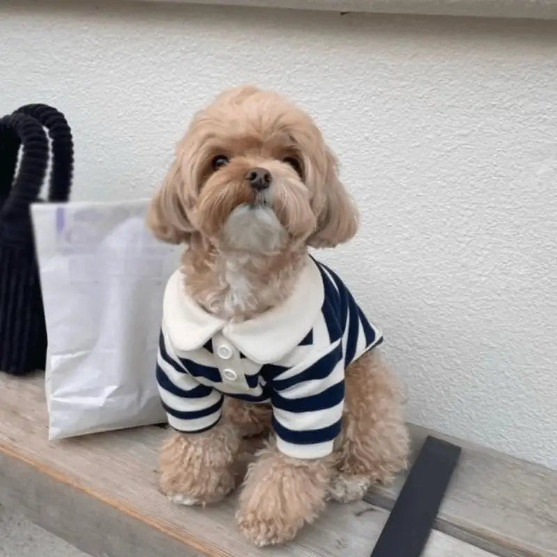 Striped Pet Shirt Soft Pullover Outfit Suitable For Puppy Dogs Cats Schnauzers Pomeranians Daily Casual Pet Apparel