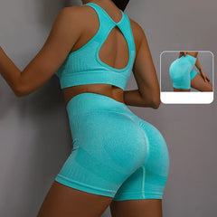 2Pcs Women Yoga Outfit Set Sports Fitness Vest Running Workout Shorts Suit Gym Training Active Wear Handmade Accessory