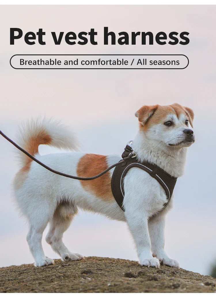 Reflective Outdoor Walking Harness Set