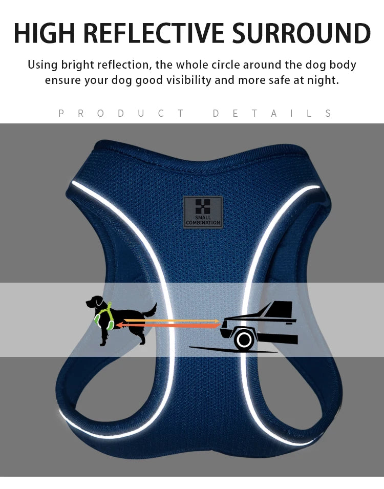 Reflective Outdoor Walking Harness Set