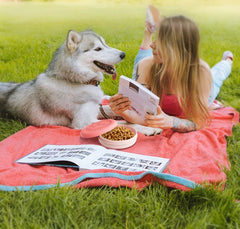 2-in-1 Outdoor Treat Compartment Bowl