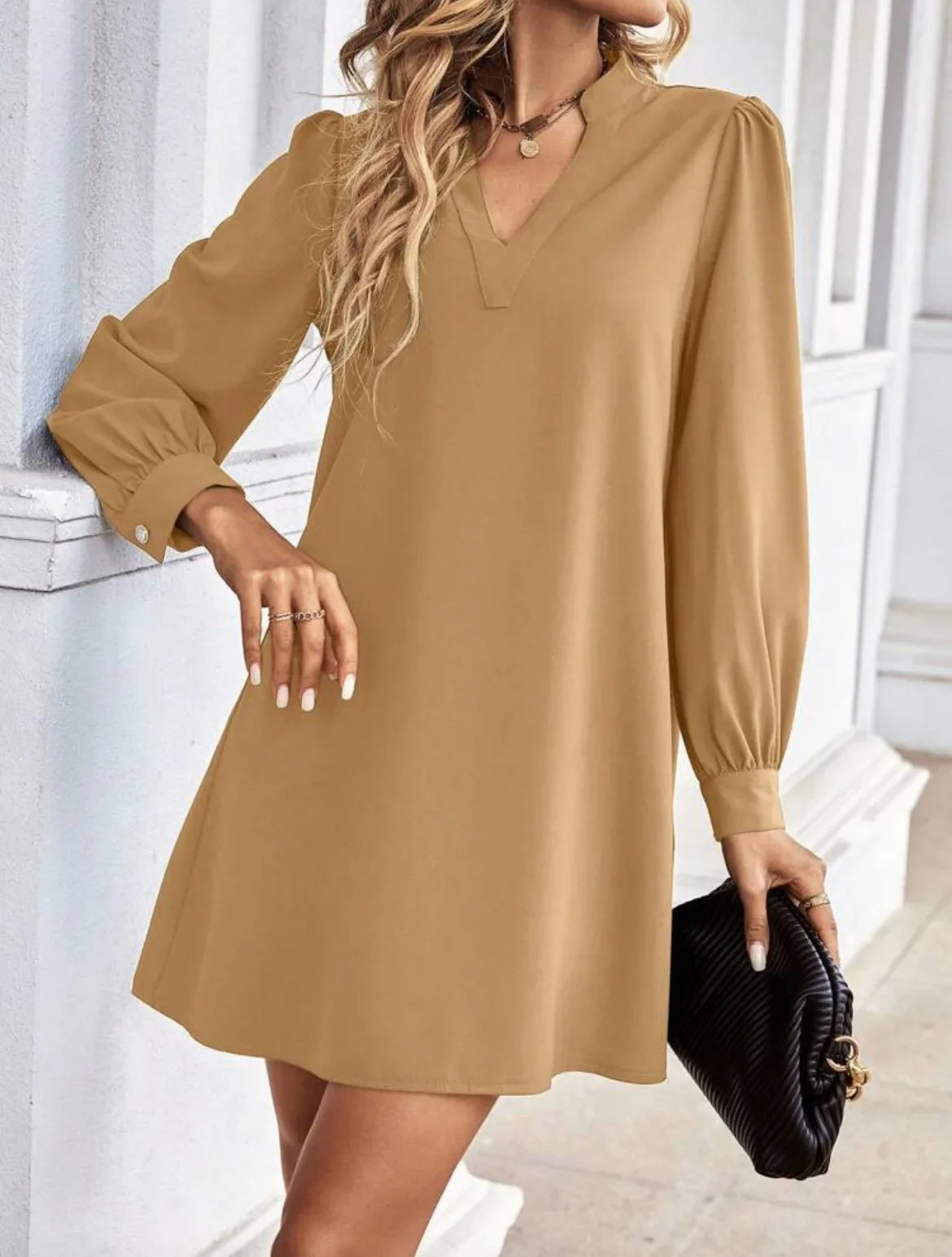 V-Neck Long Sleeve Mini Dress