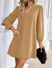 V-Neck Long Sleeve Mini Dress