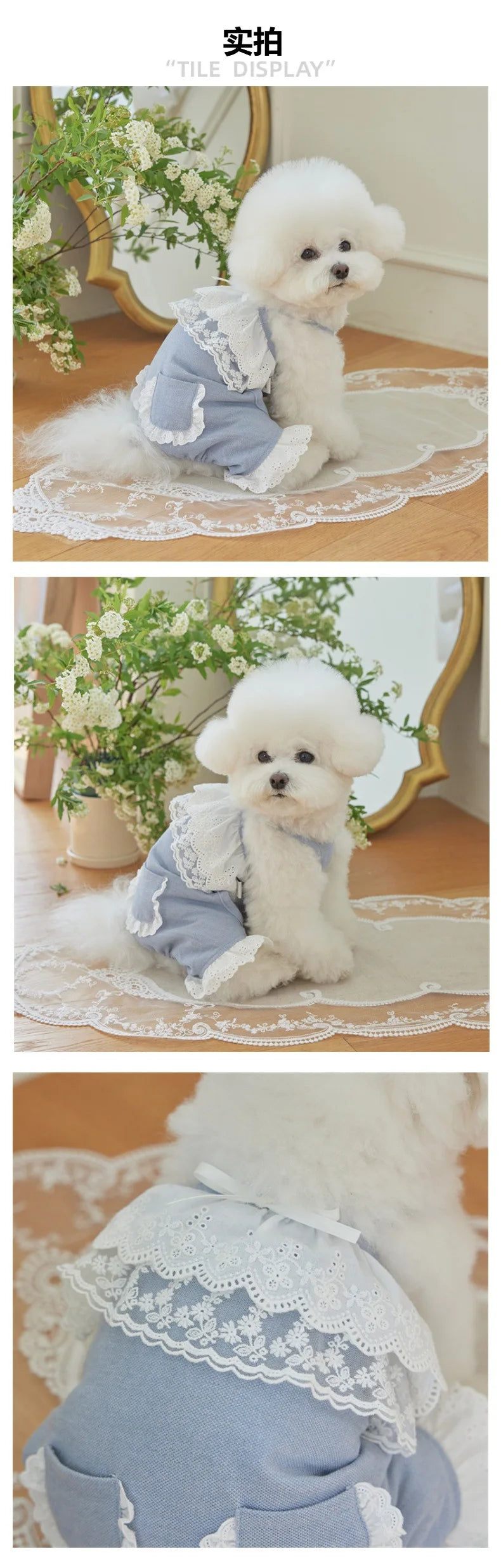 Cute Lace Pet Overalls Jumpsuit