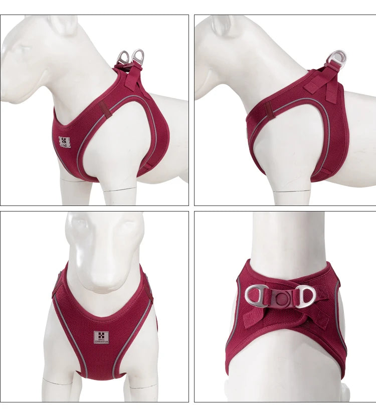 Reflective Outdoor Walking Harness Set