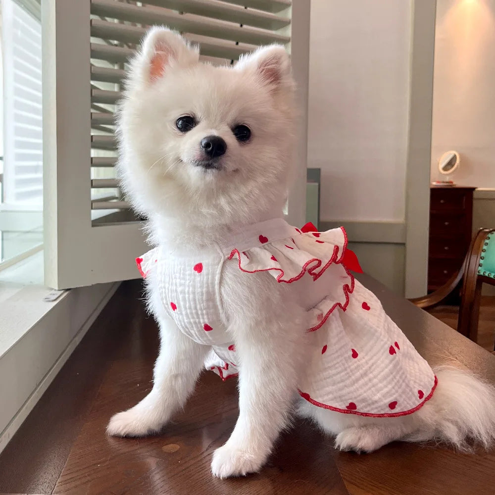 Sweet Cotton Pet Skirt Dress