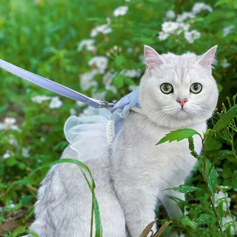 Pet Accessories Princess Style Cat Harness Leash Adjustable Nylon Cat Vest Breathable with Bowknot Pet Chest Strap For Cats Dogs