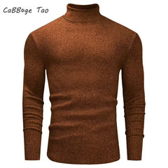 Slim Fit Turtleneck Knit Pullover