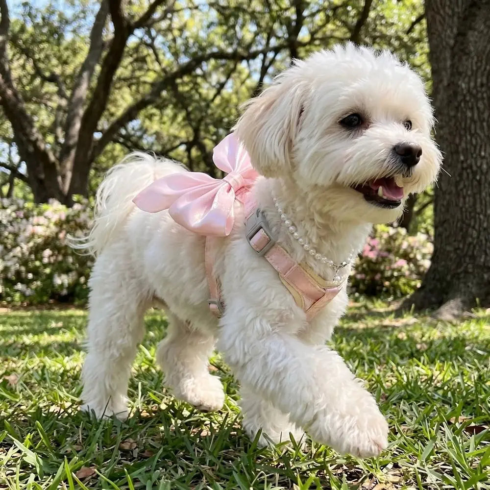 Pet Accessories Adjustable Pet Harness Cute Bow Breathable Dog Chest Strap Escape-Proof Comfort Cat Leash for Dogs Puppy Rabbit