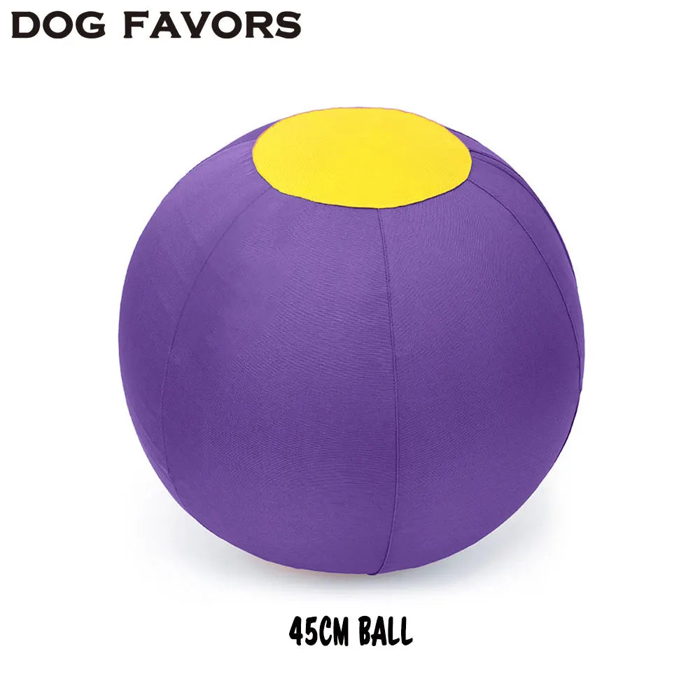 Colorful Large Dog Play Balls