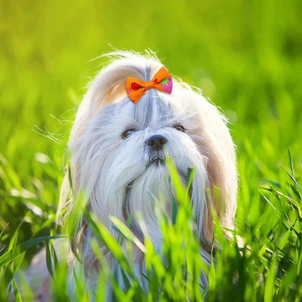 10pcs Creativity Pet Hair Accessories Bow Polyester Cute Puppy Bow with Rubber Band Suitable for Dogs Cat Grooming Accessories