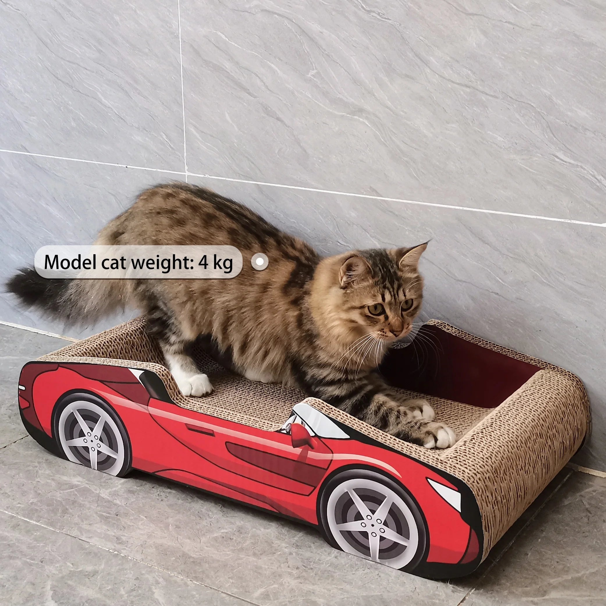 Cute Cat Beds Kitten Bed Soft and Cozy Small Dog Beds with Pillow Washable Pet Mat for Puppy and Kitty Funny Supercar Cat Toys