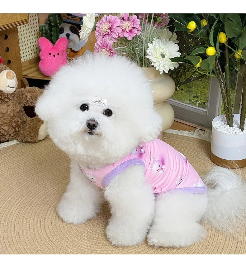 Spring pet apparel: cat & dog clothing - cartoon 3d print, teddy style, cute & breathable, anti-shedding, dropshipping available