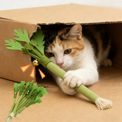 Catnip Molar Stick Chew Toy