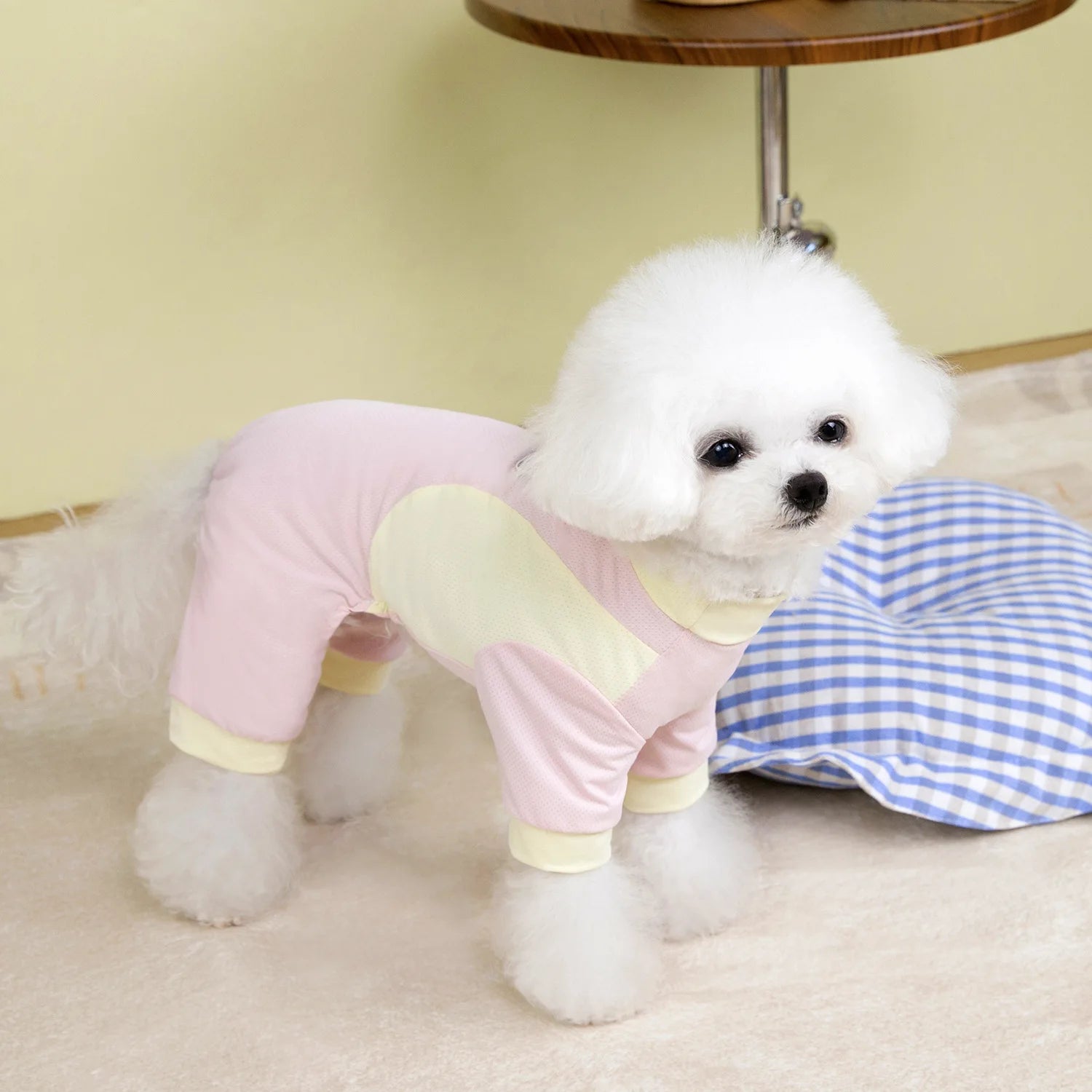 Sun Protection Four-Legged Pet Outfit