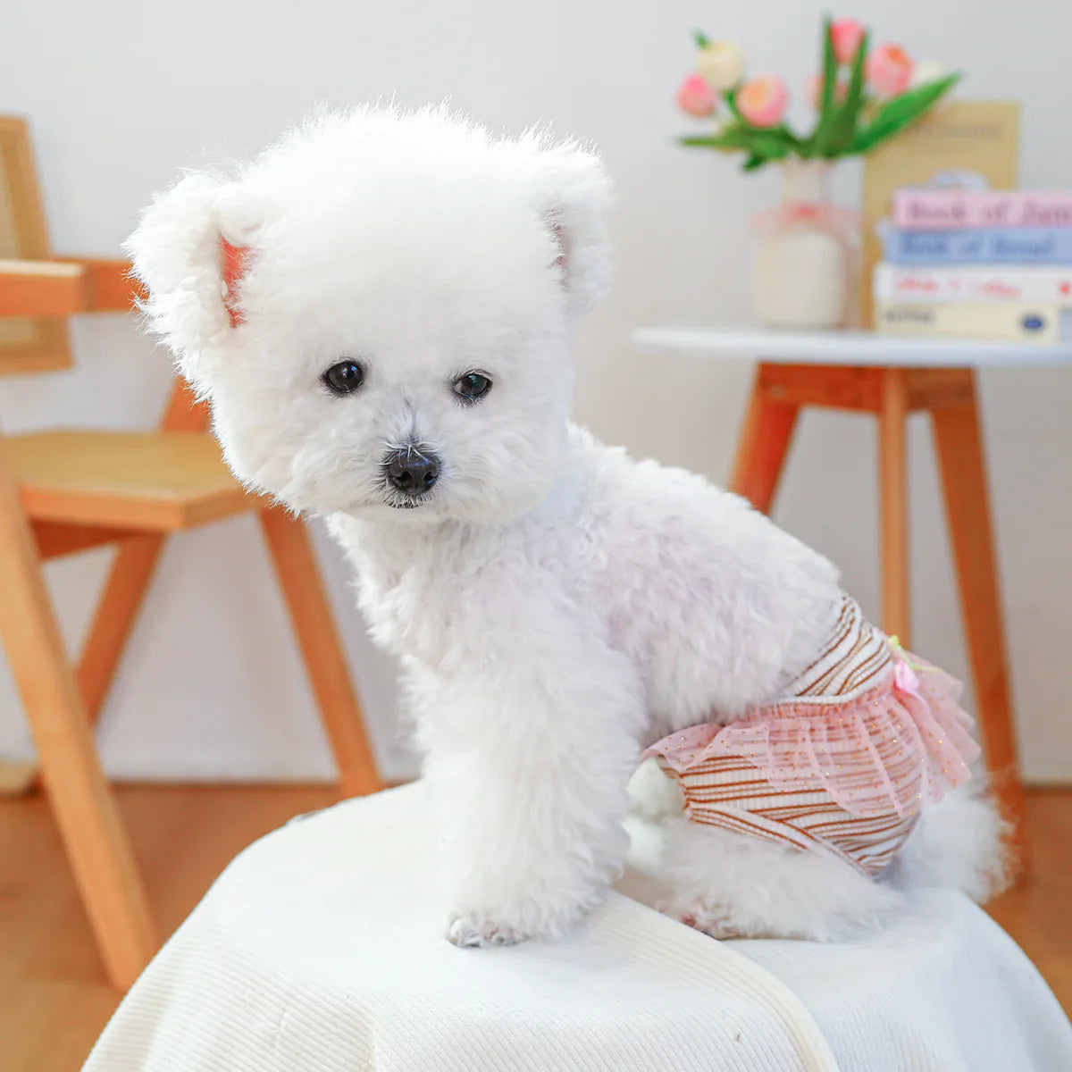 Striped Cotton Puppy Panties Set